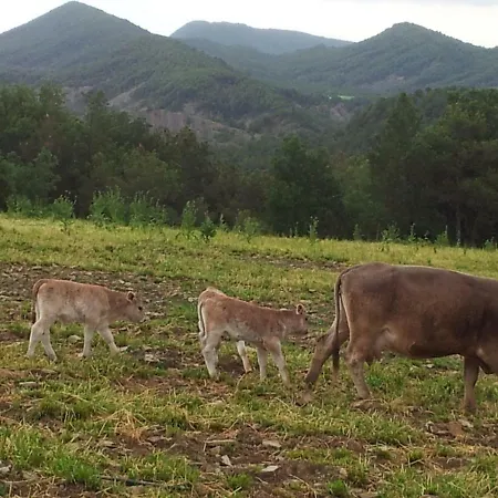 Casa Encuentra, En El Pirineo Al Lado De Ainsa El Pueyo de Araguas