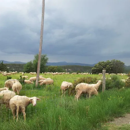 Casa Encuentra, En El Pirineo Al Lado De Ainsa *