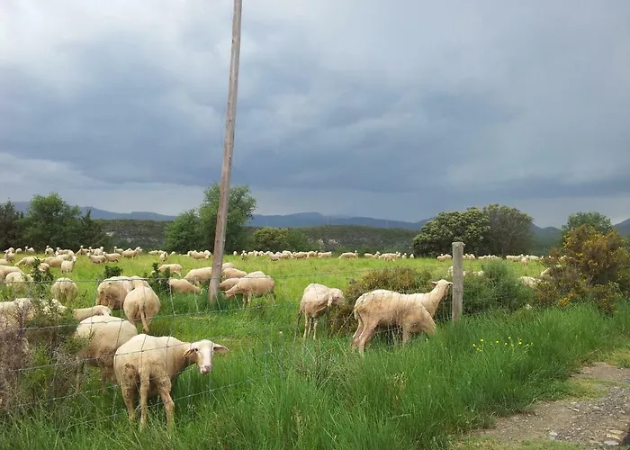 Casa Encuentra, En El Pirineo Al Lado De Ainsa *